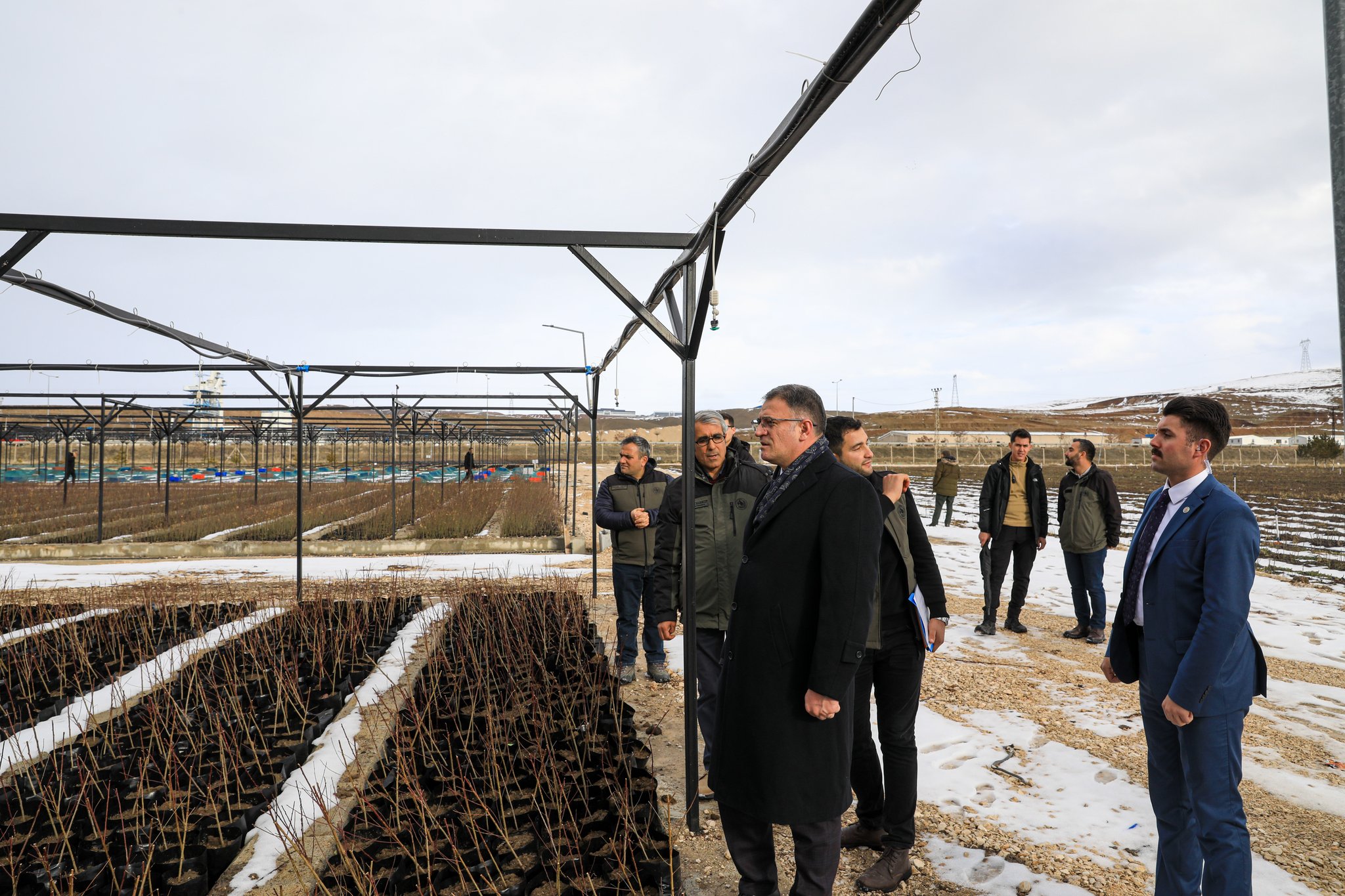 Van’da 2 Milyon 700 bin fidan dikimi projesi devam ediyor