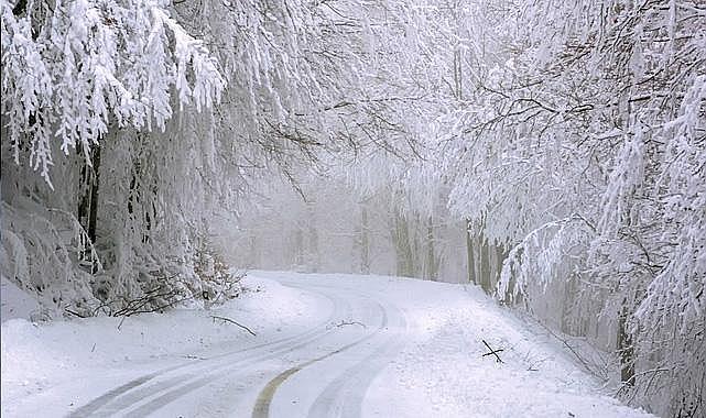Van’da çığ ve don uyarısı!