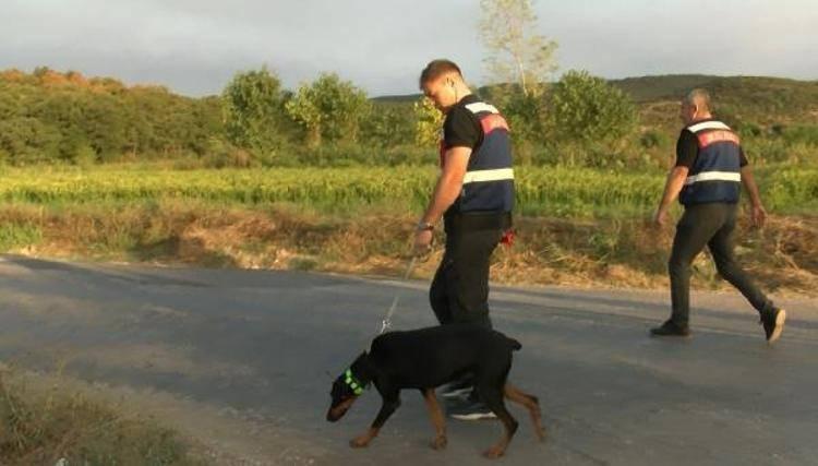 Korhan Berzeg'den 200 gündür haber yok!