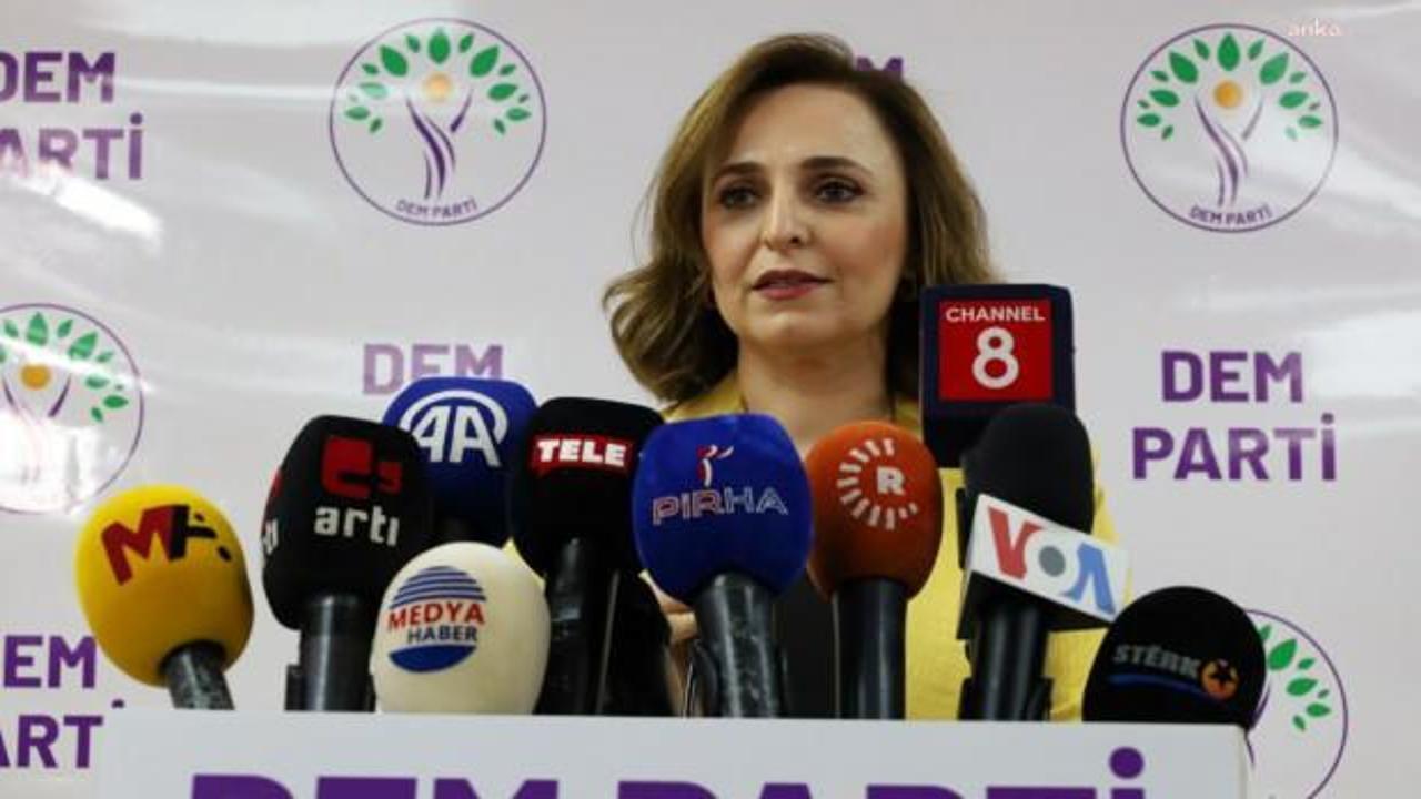 DEM Parti’nin aday çıkaracağı iller belli oldu