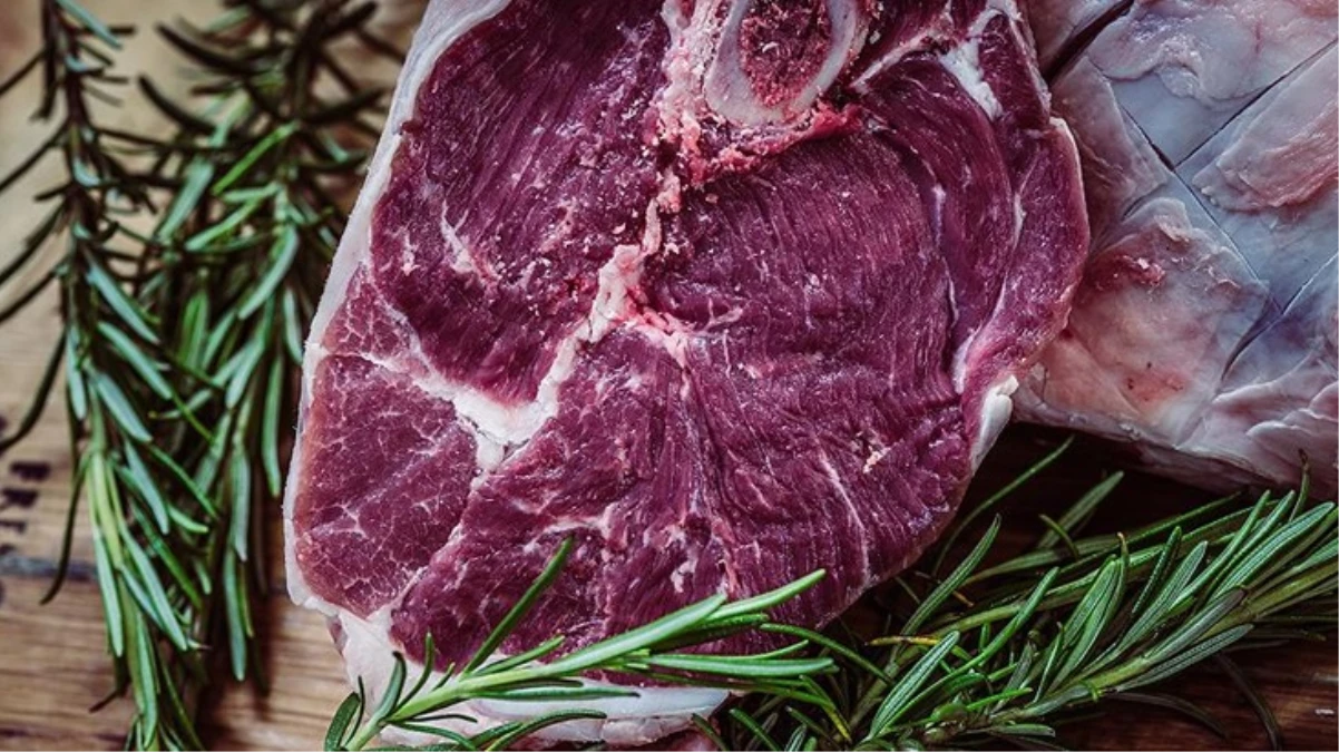 Tarım ve Orman Bakanlığı: Türkiye’de yapay etin ticarileşmesi söz konusu olamaz, verdiğimiz bir izin yok