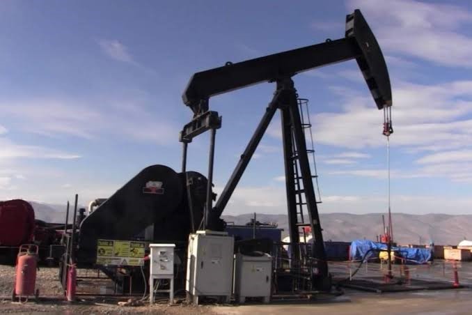 TPAO’nun Siirt’teki 2 sahası için kamulaştırma kararı