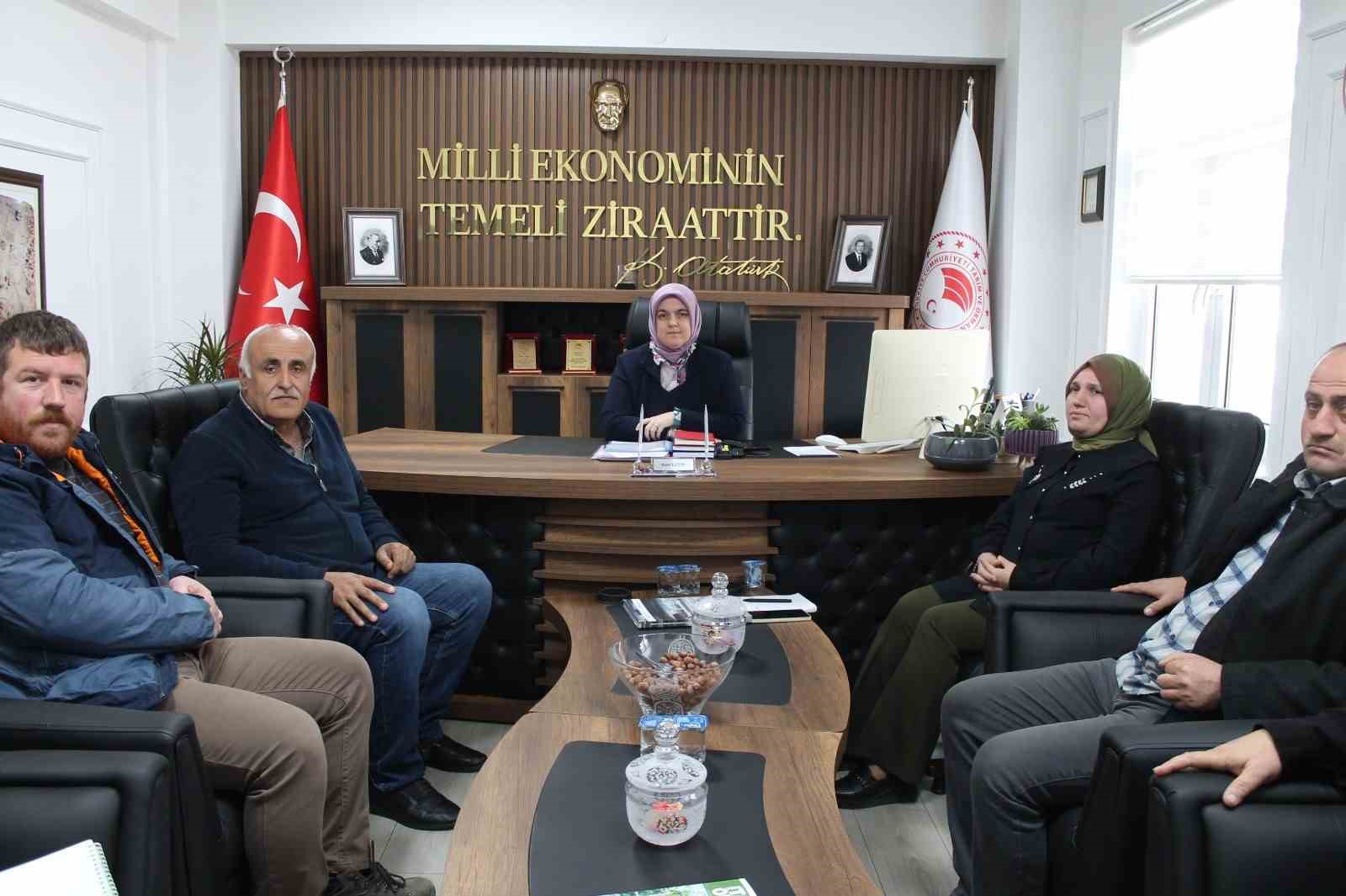 Son başvuru 1 Mart