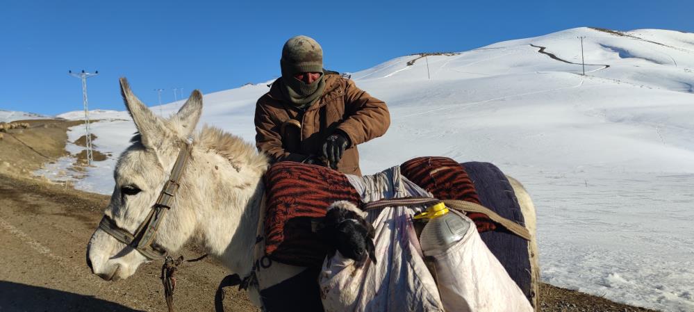 Van’lı besicilerin zorlu yolculuğu