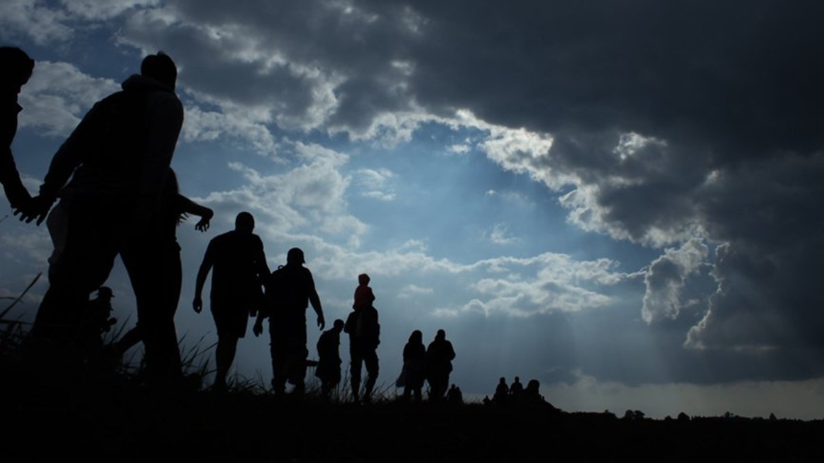 Van’da göçmen kaçaklığı operasyonu: 113 kişi yakalandı