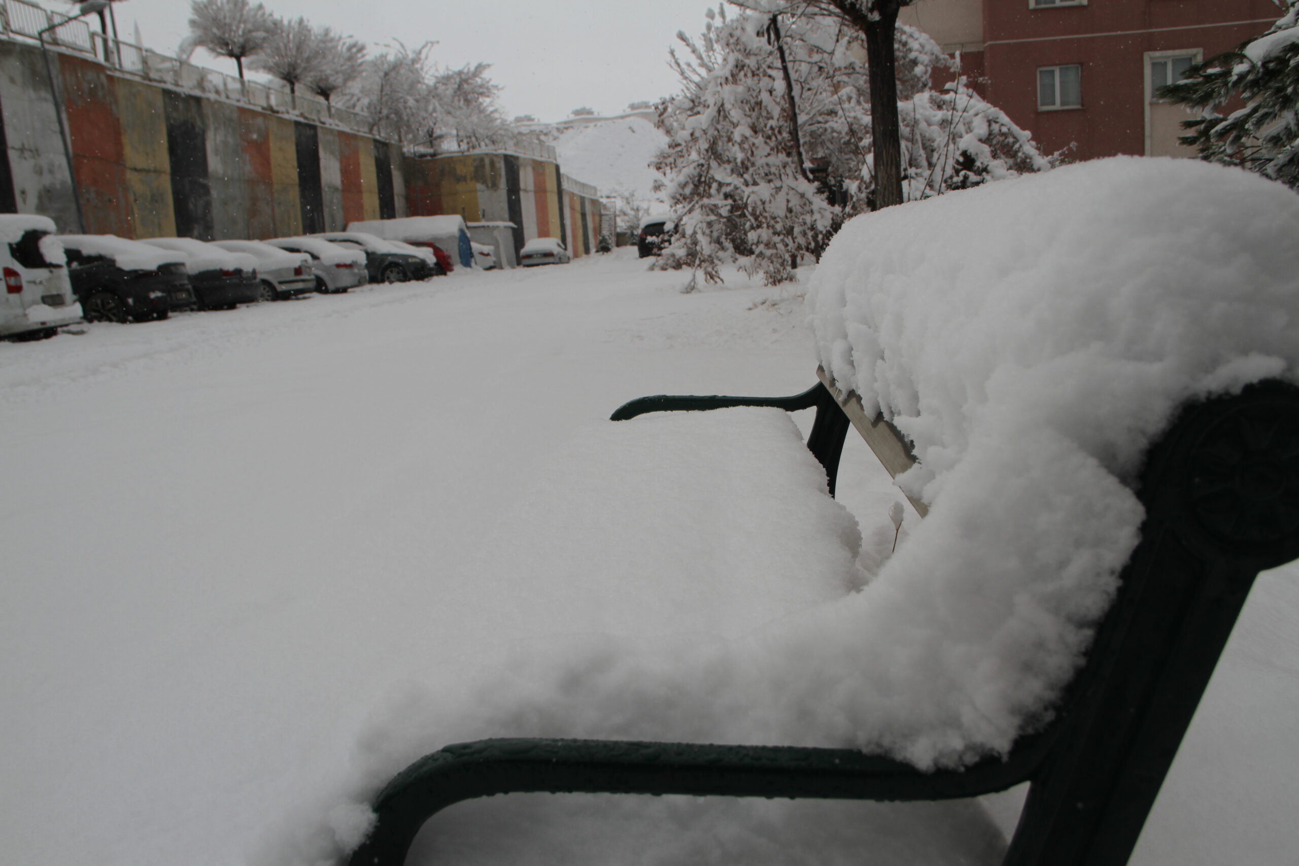 Van’da kar yağışı etkili oldu