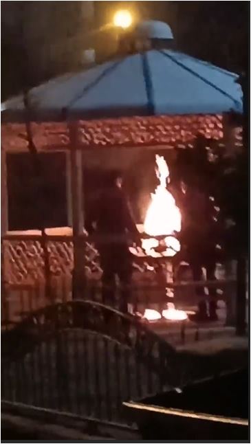 Van’da bir park ateşe verildi!