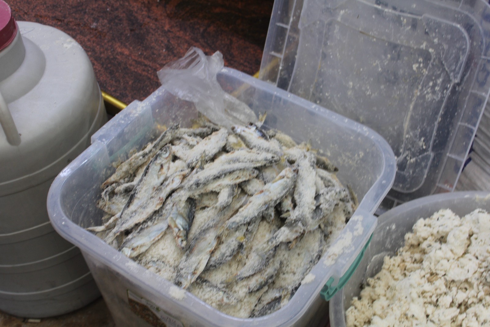 Van’da Balık ve Tuzun Serüveni