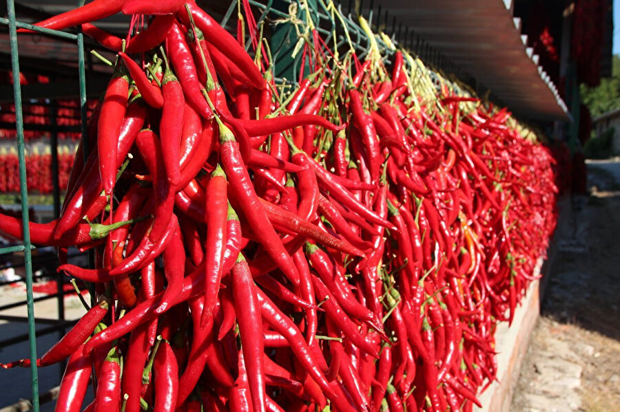 Aşırı acı biber tüketimi bağımlılığa yol açıyor