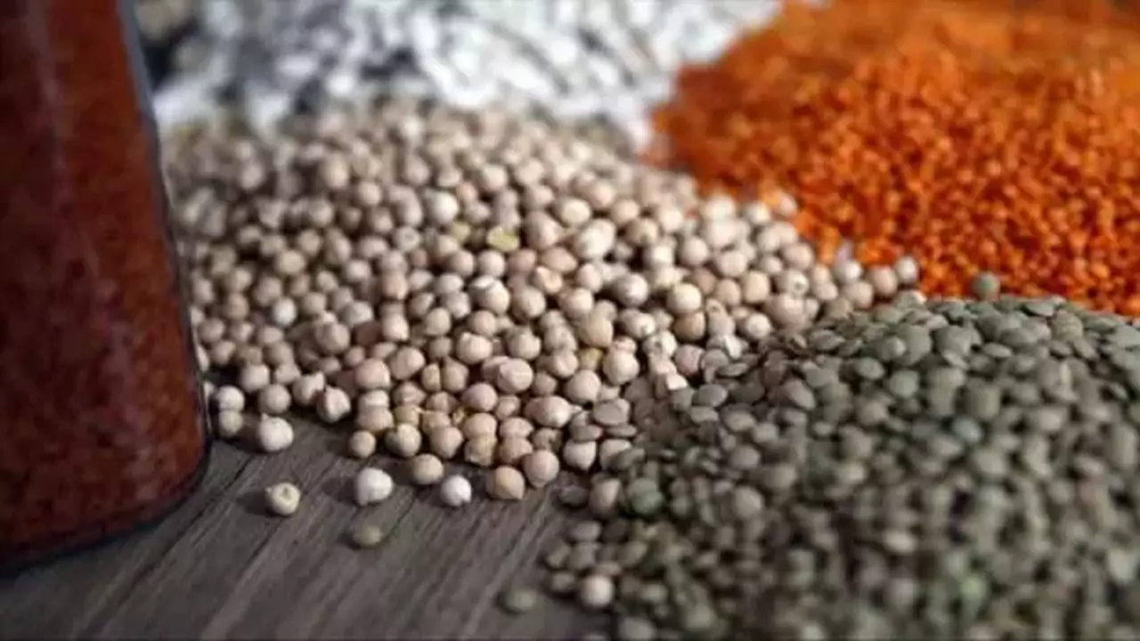 Ocak ayında Türkiye’nin temel gıda ihracatı arttı