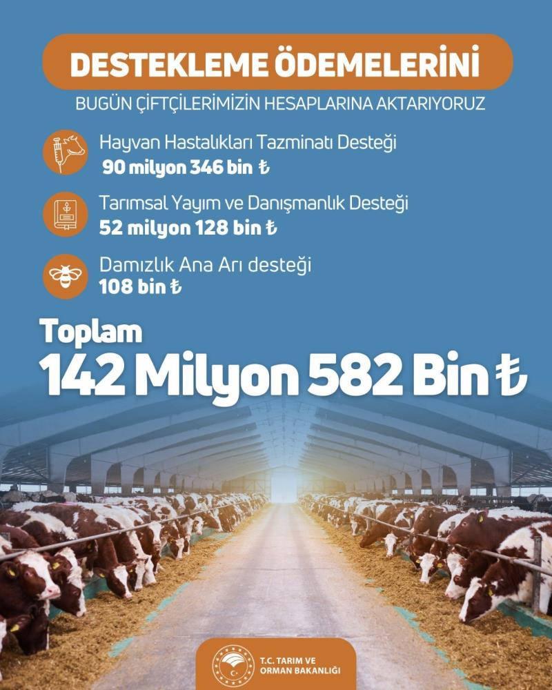 Bakanlık duyurdu: Destek ödemesi hesaplara yatırıldı