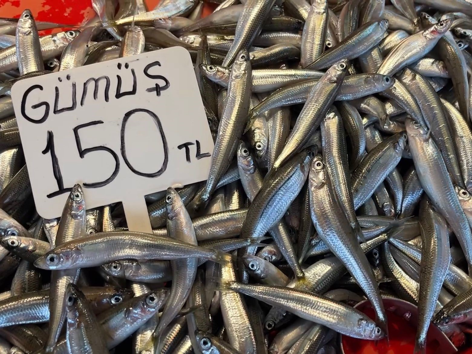 Fiyatlar uygun, satışlar durgun