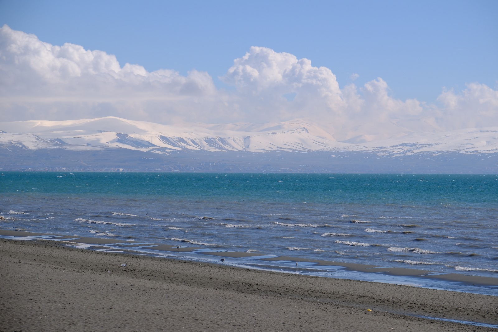 Van Gölü için sevindiren haber!