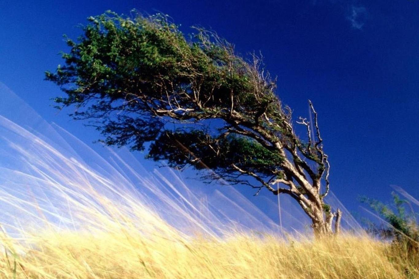 Van valiliğinden kuvvetli rüzgâr uyarısı!