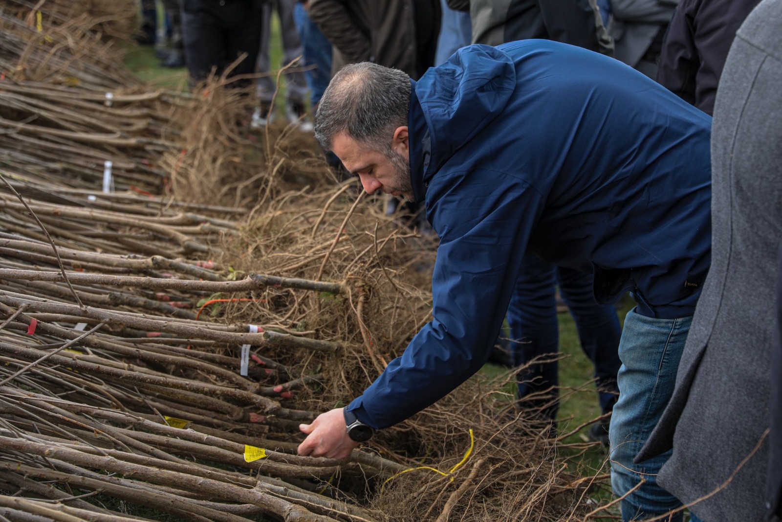 Van’da 2 milyon fidan toprakla buluşacak
