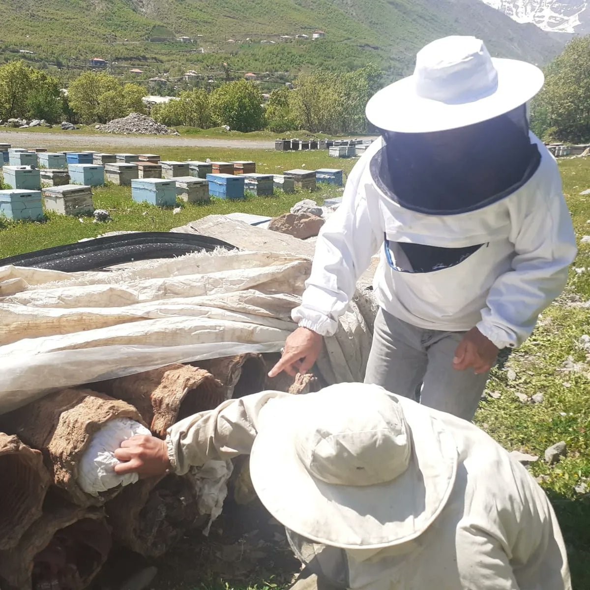 Hakkari’de bal üretim sezonu başladı