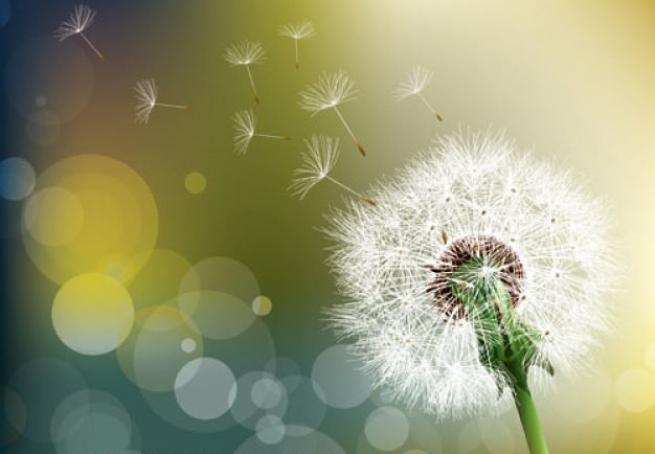 Mevsimsel polen alerjisine dikkat