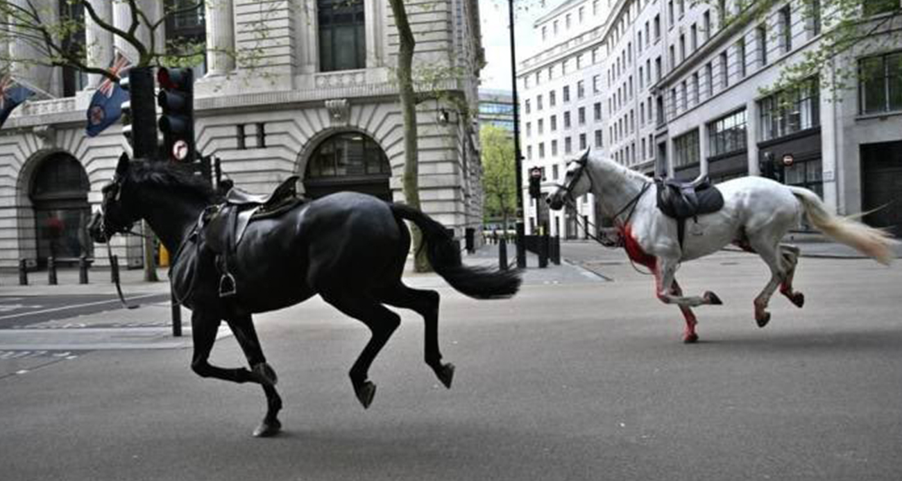 Londra’da Kraliyet atları 4 kişiyi yaraladı