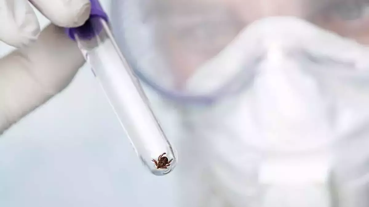 Güneş çarpması olarak düşünülüyor, asıl tehlike fark edilmiyor