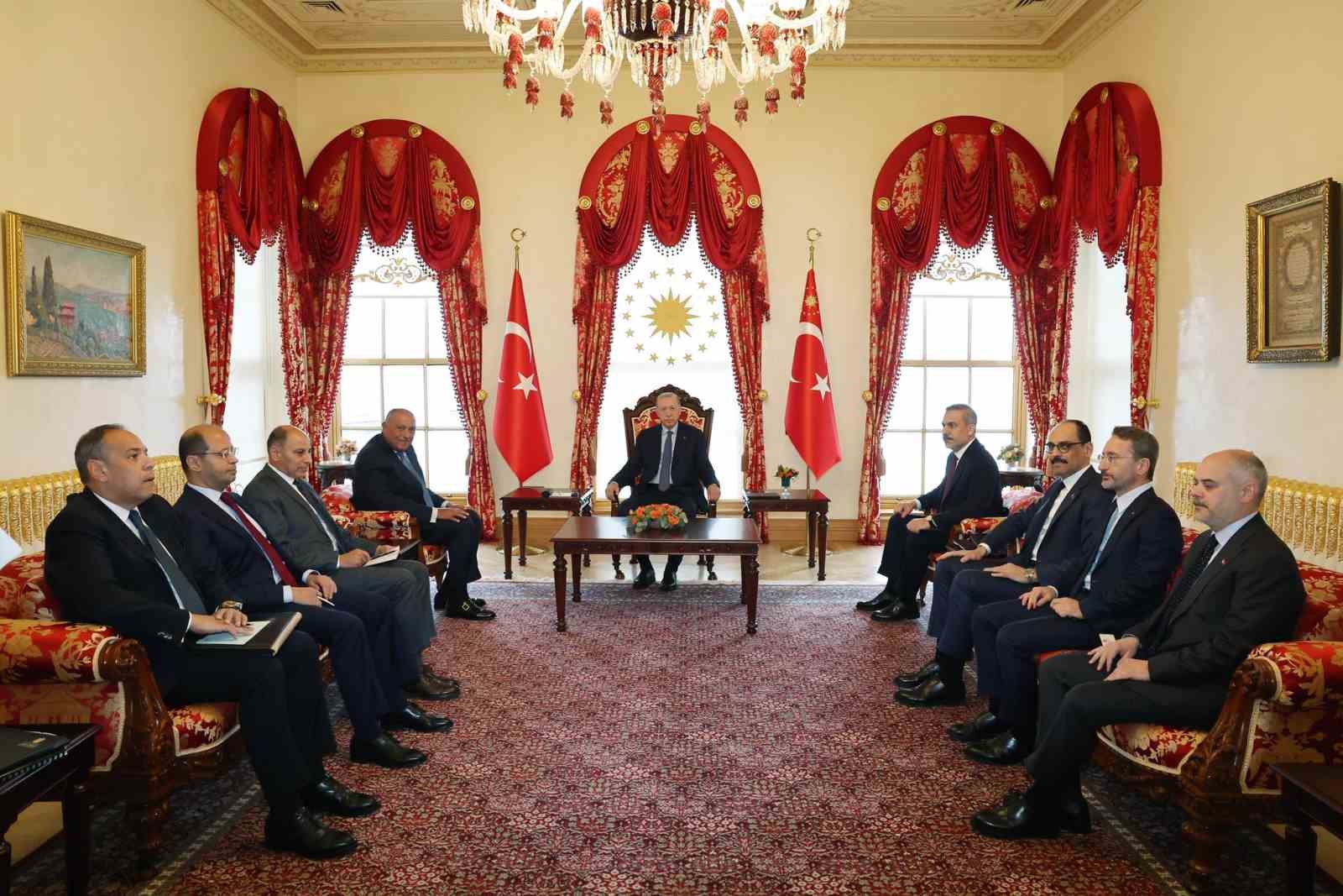 Cumhurbaşkanı Erdoğan, Mısır Dışişleri Bakanı Şukri’yi kabul etti