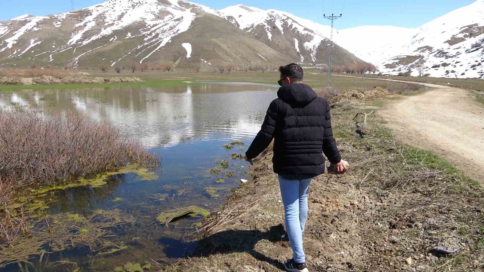 Tatvan’da tarım arazileri suya gömüldü