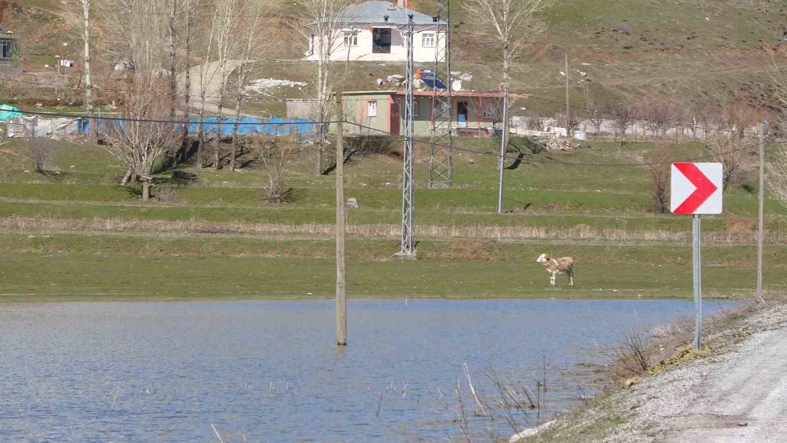 Tatvan’da tarım arazileri suya gömüldü
