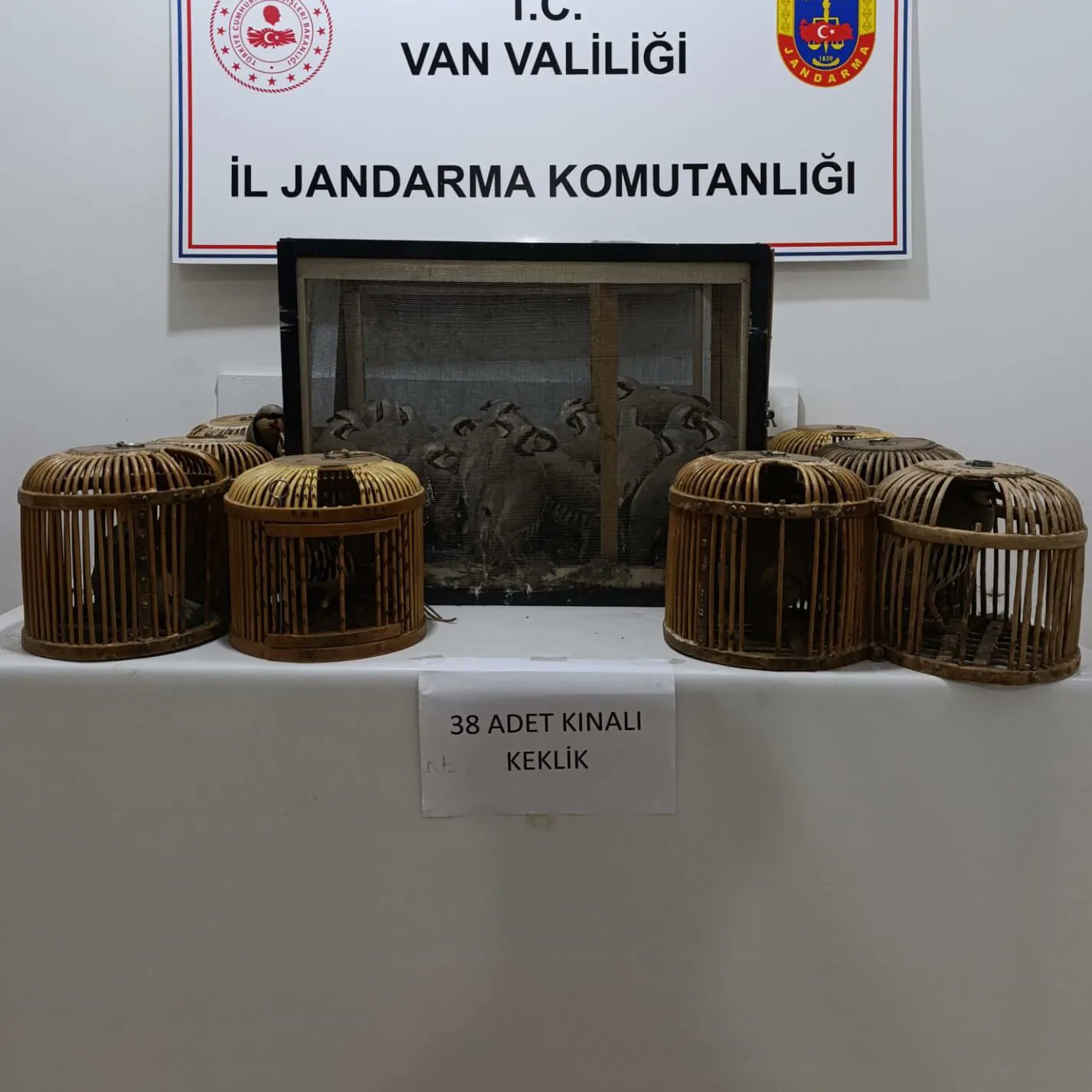 Van’da kafes avcılarına ceza yağdı!  