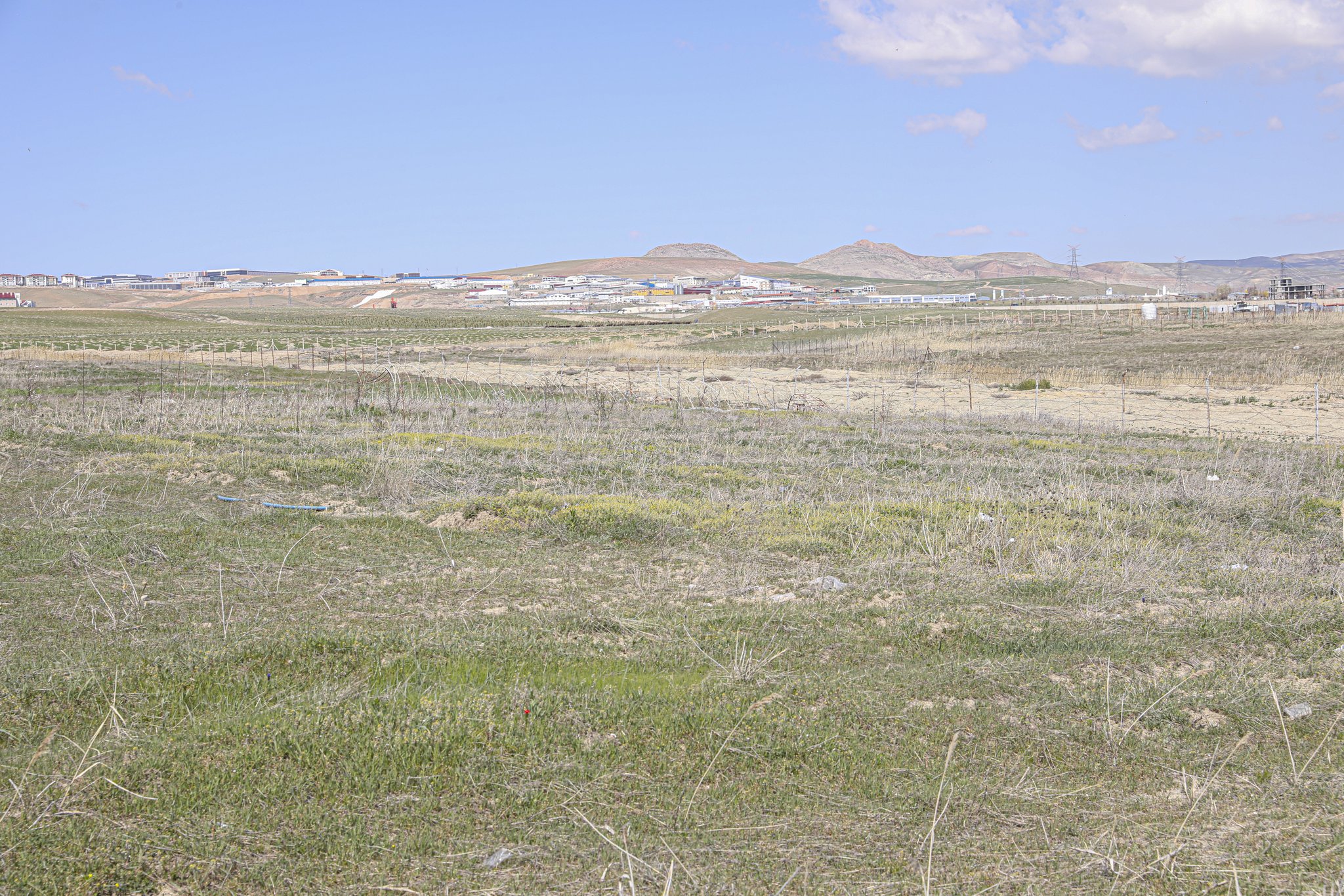 Van YYÜ’ye 2 Milyon meyve fidanı dikilecek!