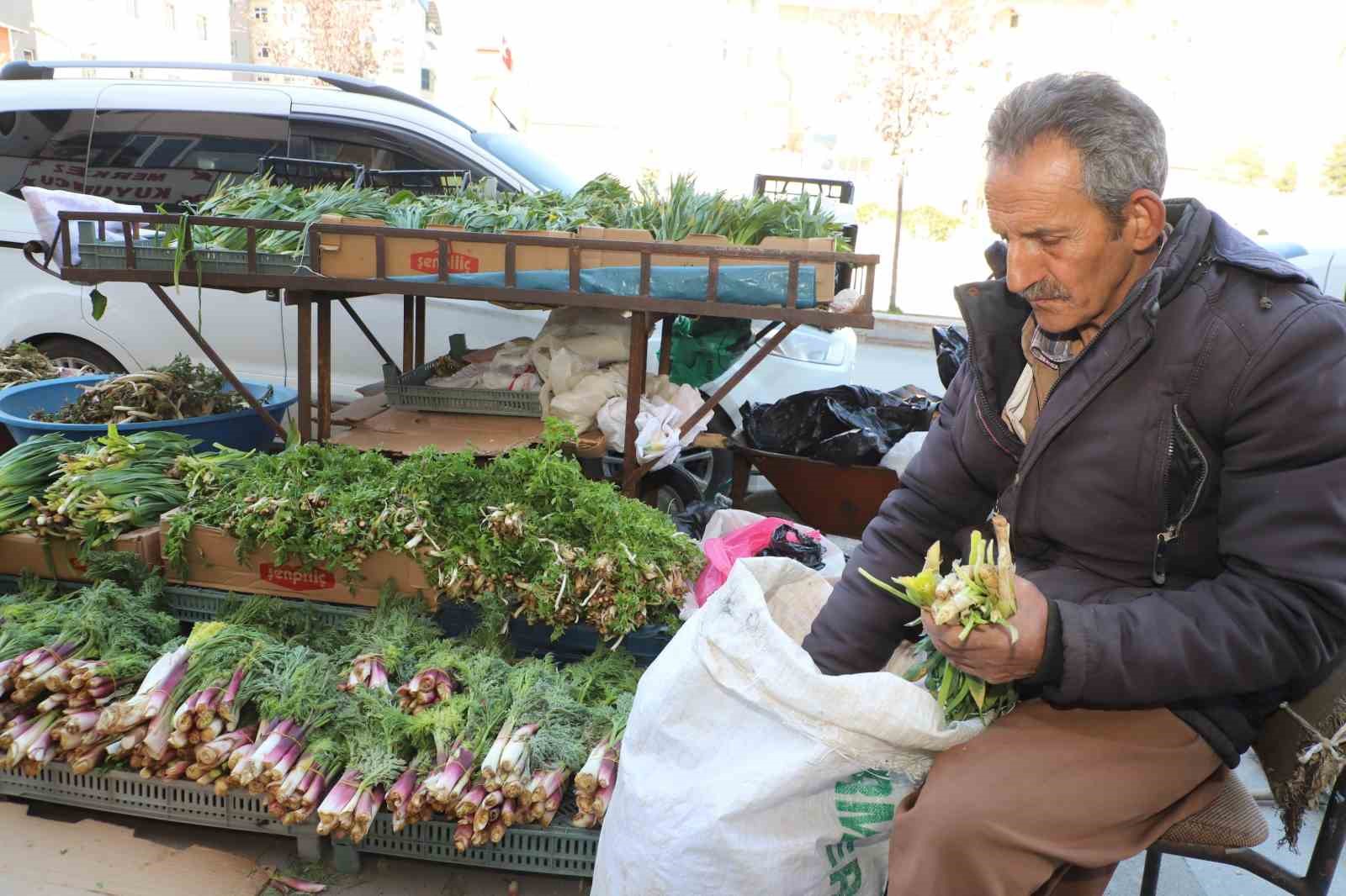 Hakkari’de şifalı bitkilere büyük ilgi