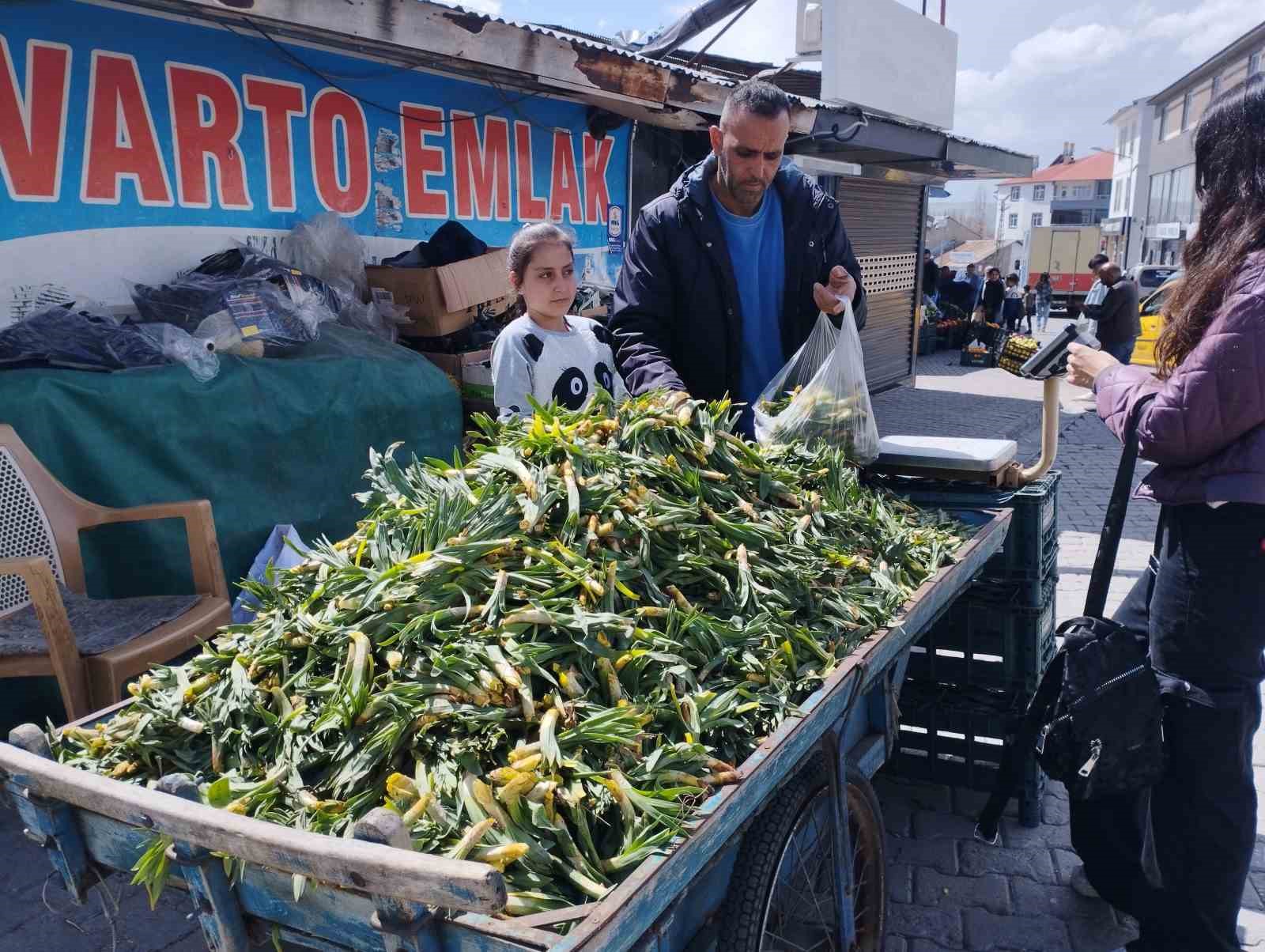 Baharın müjdeleyicisi gülbahar bitkisi tezgâhlarda yerini aldı