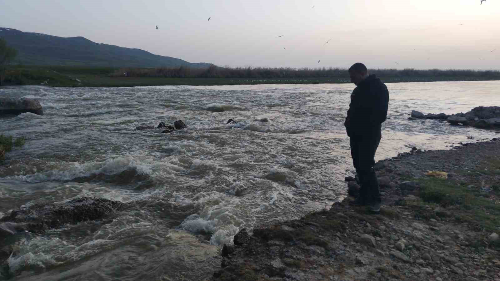 Fizyolojik uyum süreçlerini tamamlayan Van Gölü’nün incilerinin zorlu yolculuğu başladı