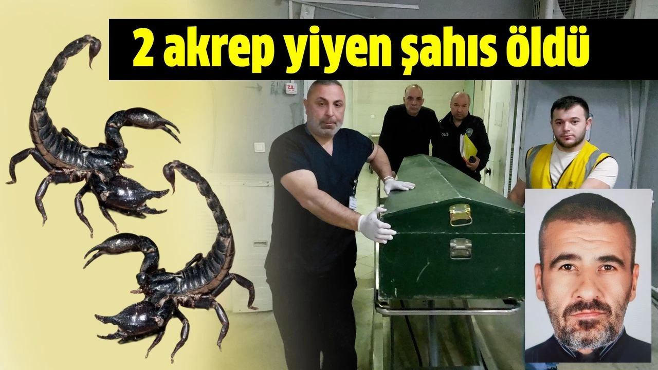 İki akrep yedi, hayatını kaybetti