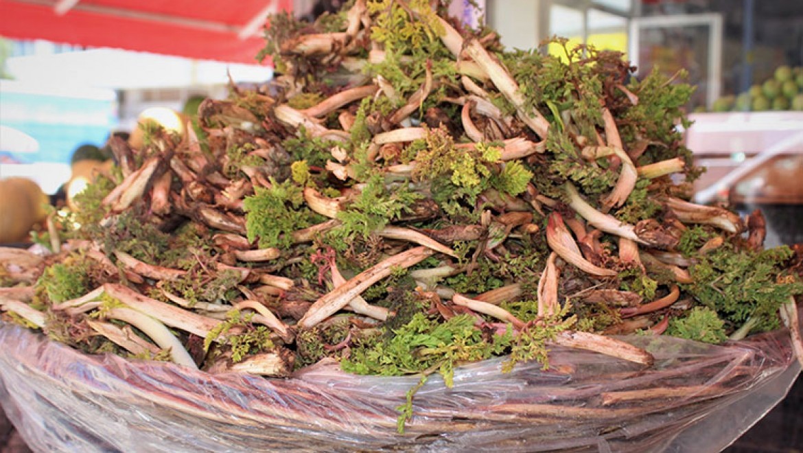 Vanlılar Dikkat! Bilinçsizce Toplanan Otların Nesli Tehlike Altında