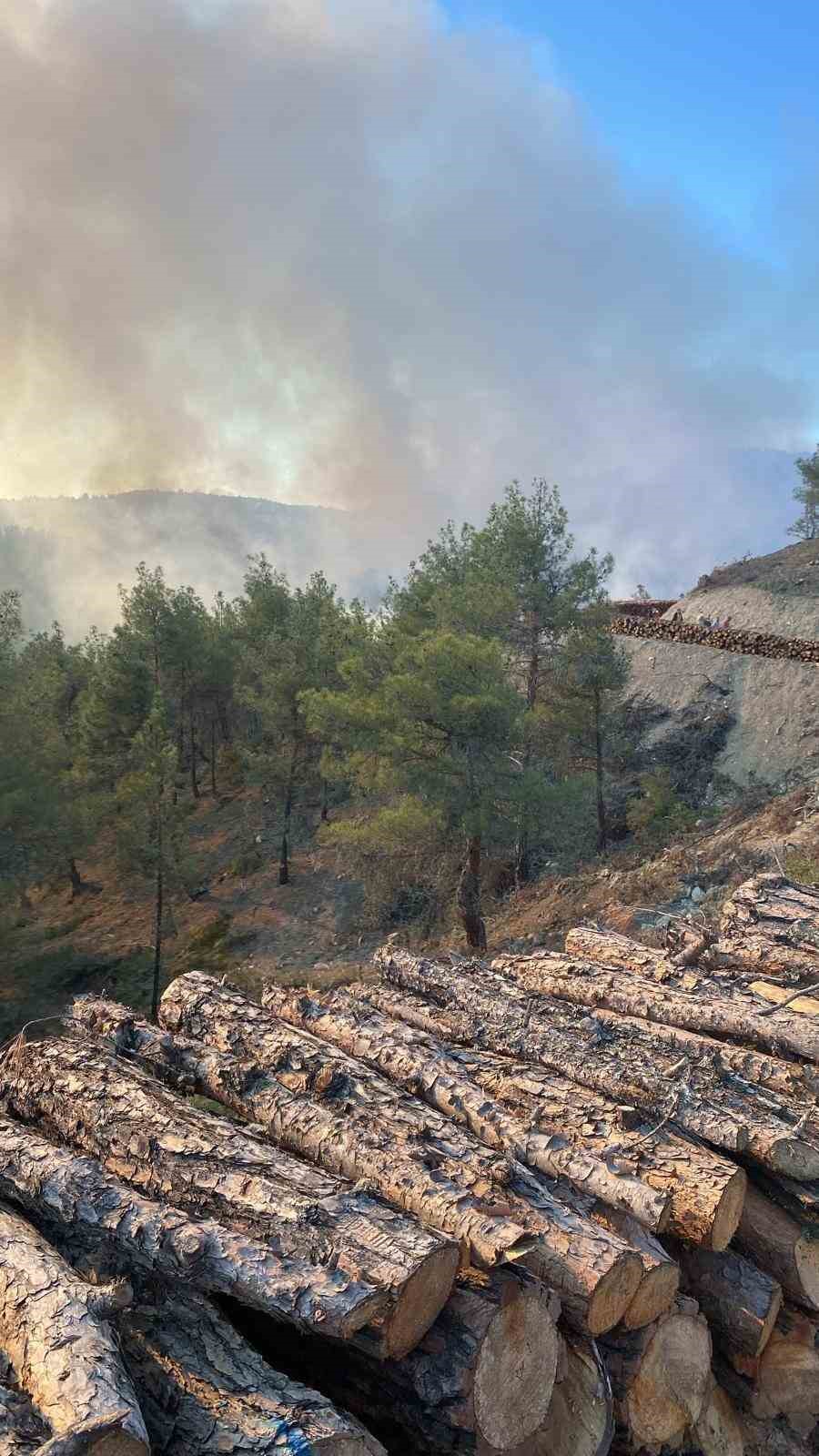 Sinop’ta orman yangını