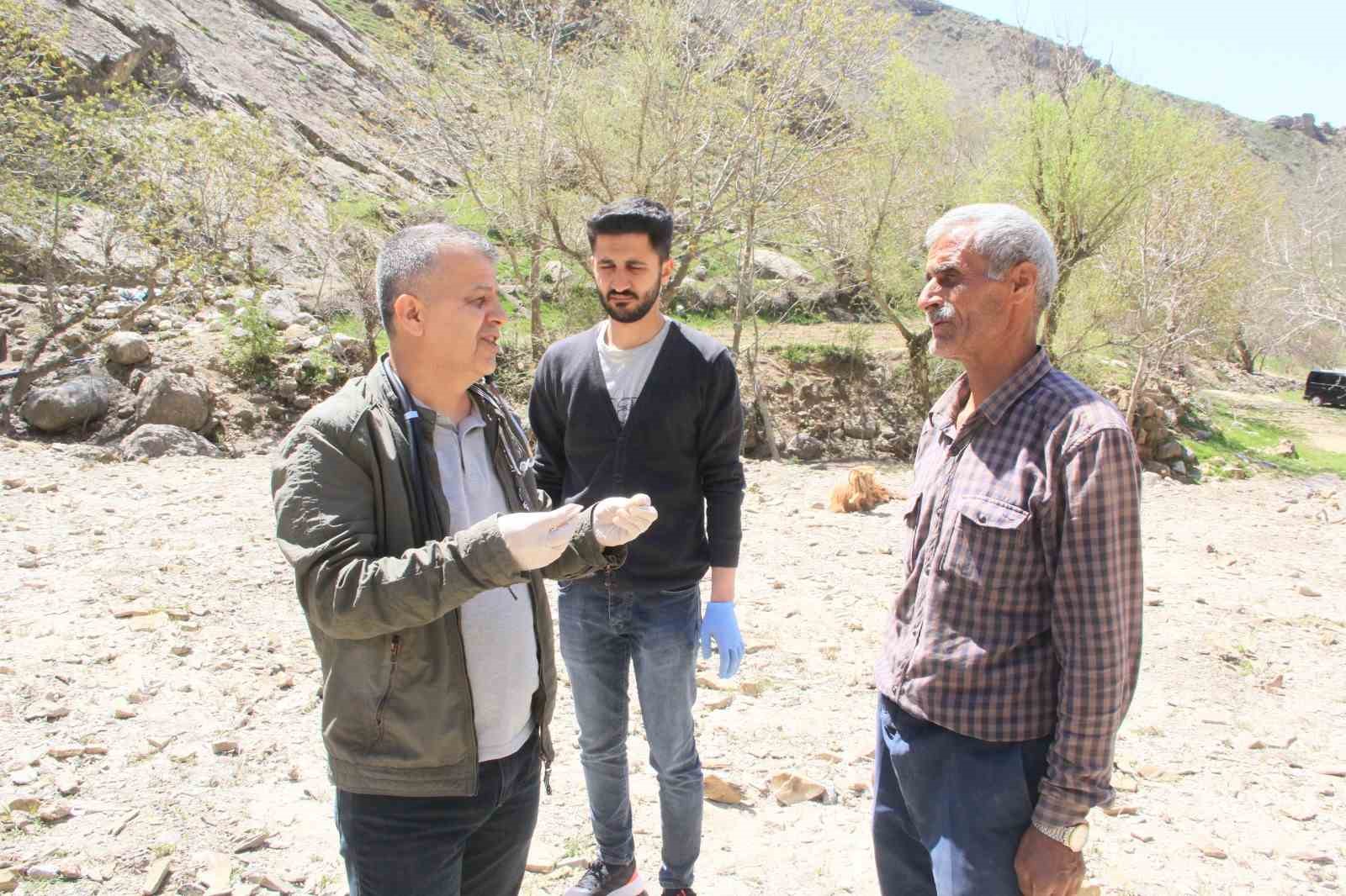 Ahır olarak kullanılan mağaraya kurtlar dadandı: 30 keçi ve 30 oğlak telef oldu