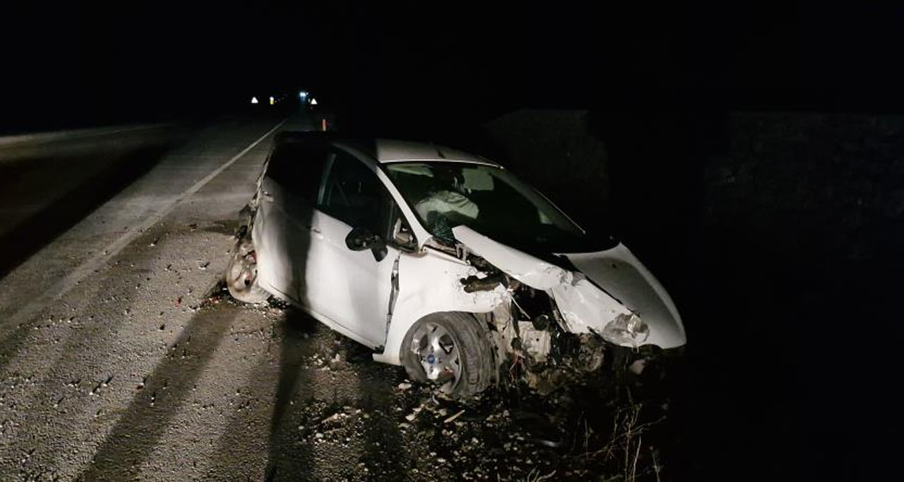 Köpeğe çarpan otomobili görünce manevra yaptı, aracıyla şarampole uçtu