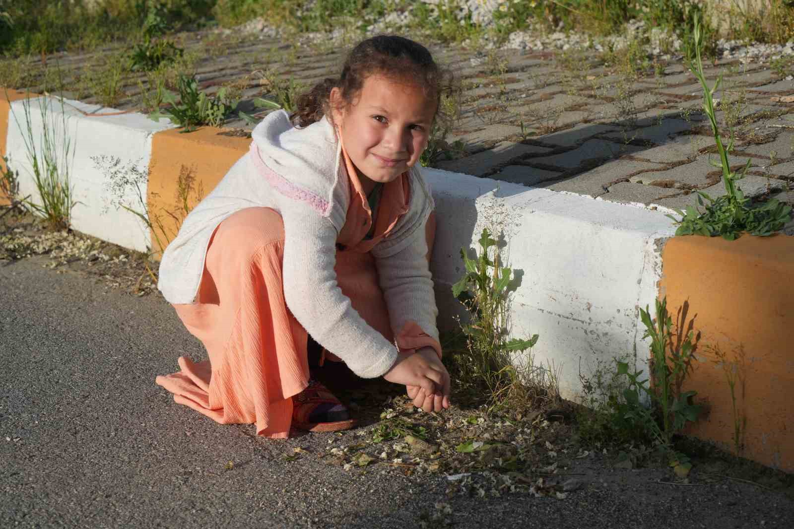 Muş’ta yağan bilinmeyen cisimler şaşırttı