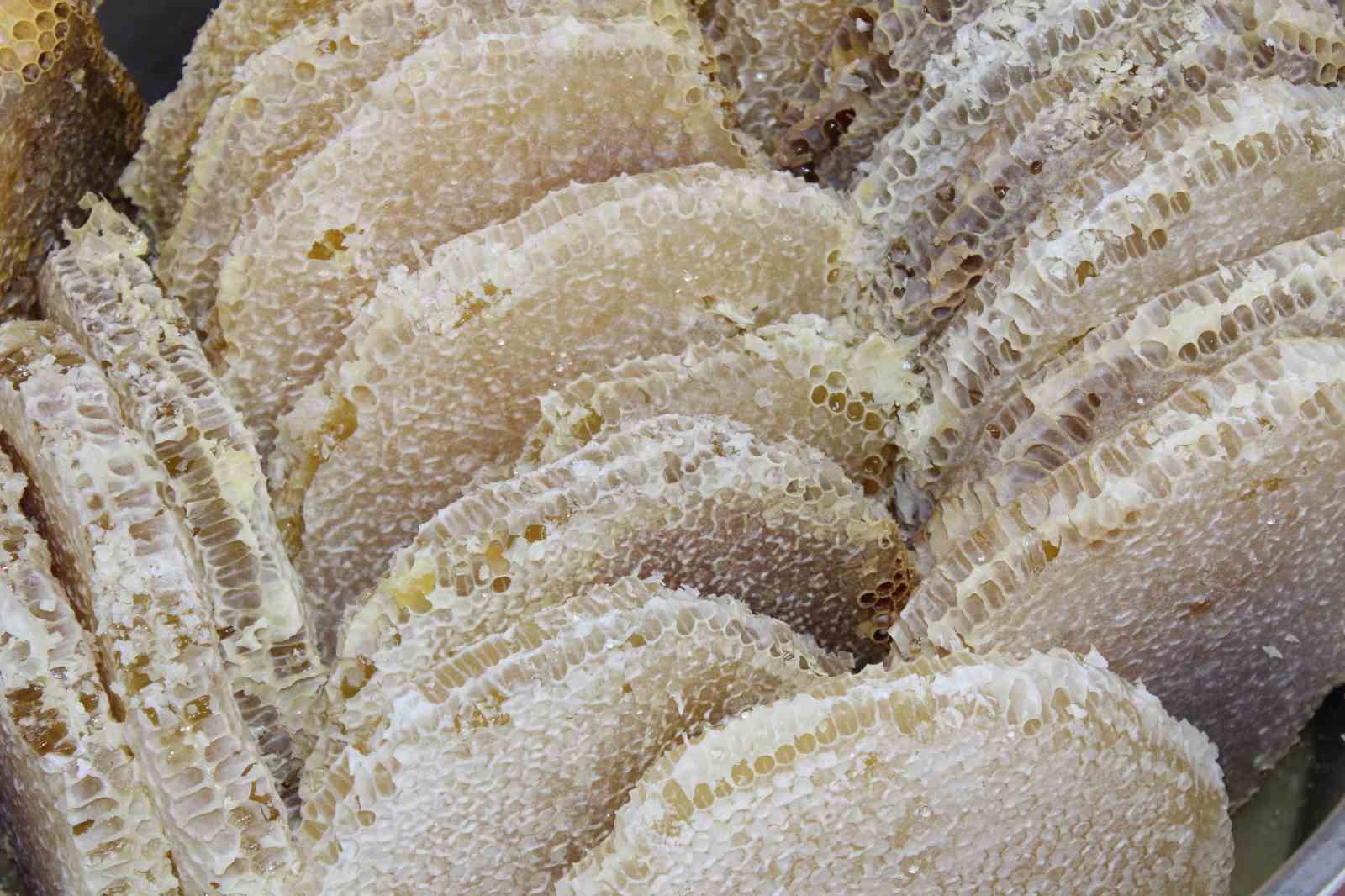 Bu bal hastalıklara şifa oluyor!