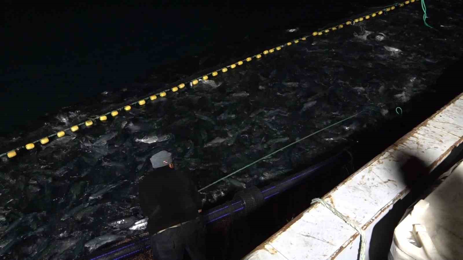 Türk Somonu ihracat rekorları kırıyor