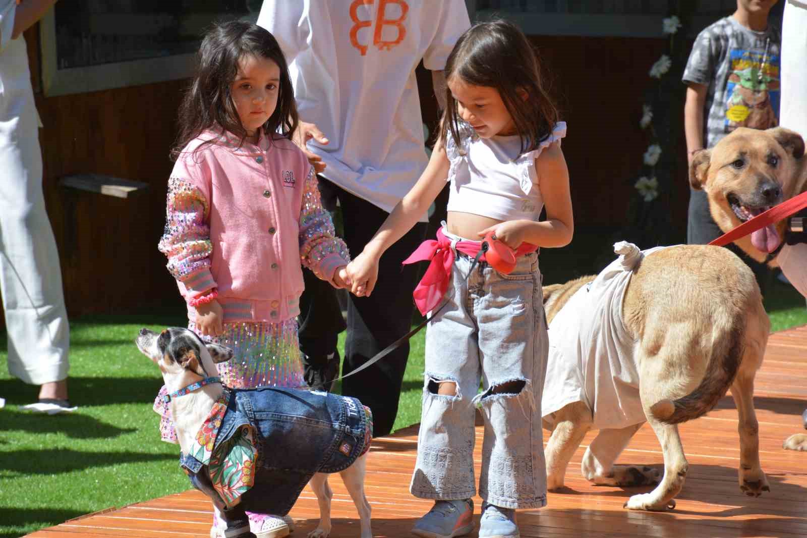 Engelli hayvanların defilesi büyük beğeni topladı