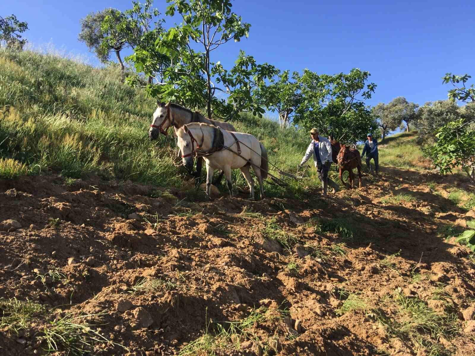 Köylerini terk etmeyen gençler mesleklerini aşkla yapıyor