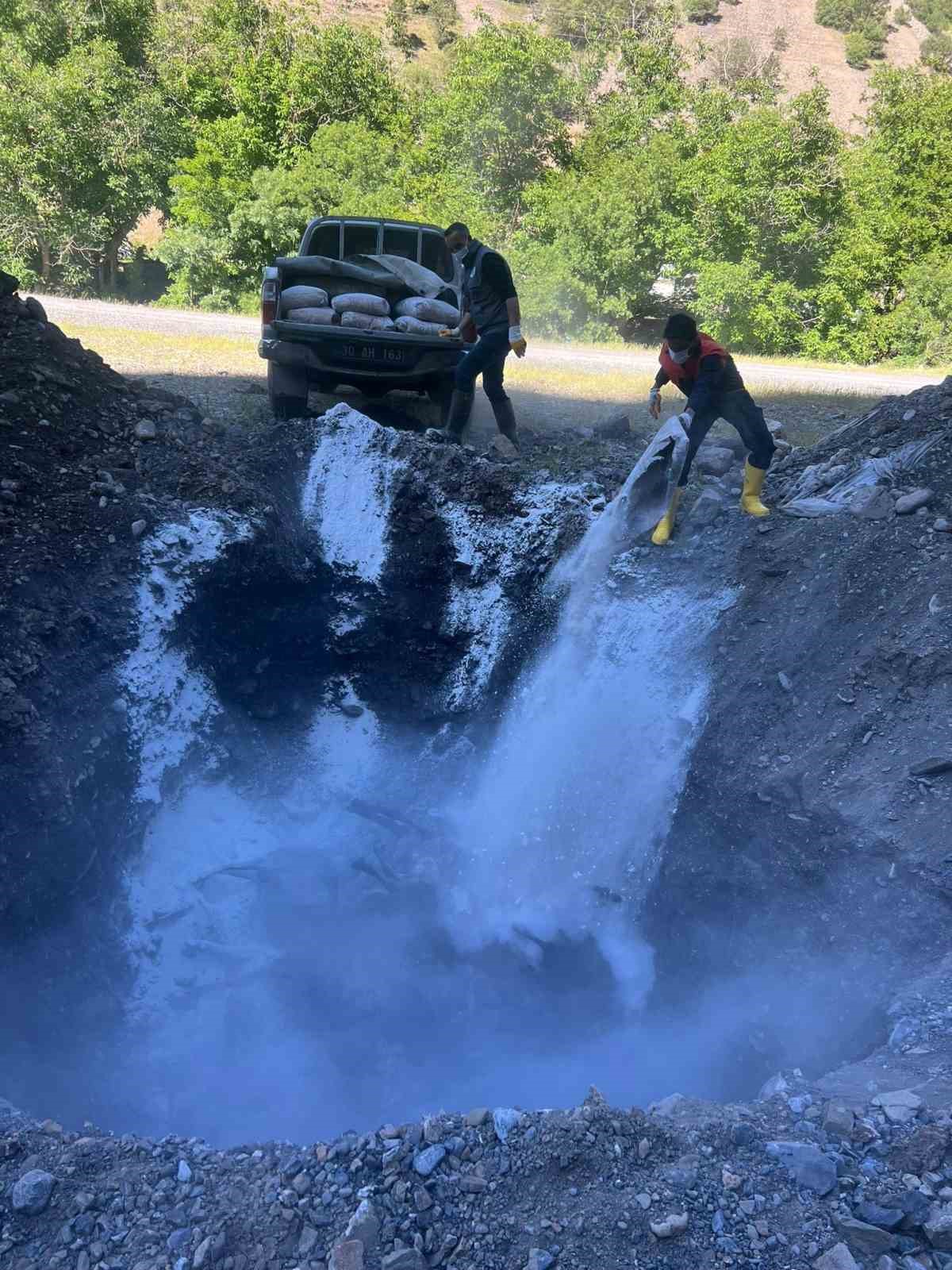 Kazada telef olan koyunlar toprağa gömüldü