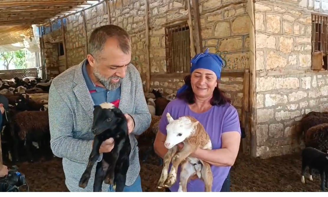 10 koyunla başladı, kendi işinin patronu oldu