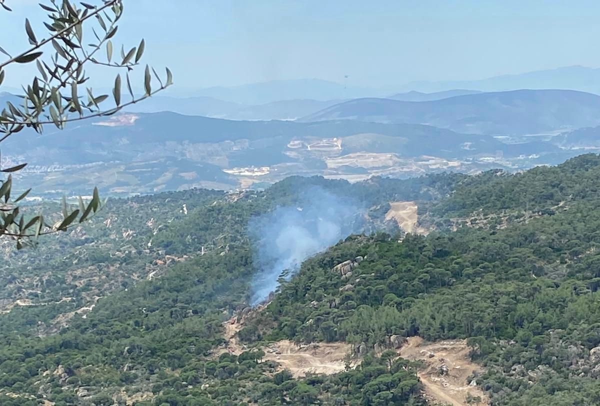 Orman yangını büyümeden söndürüldü