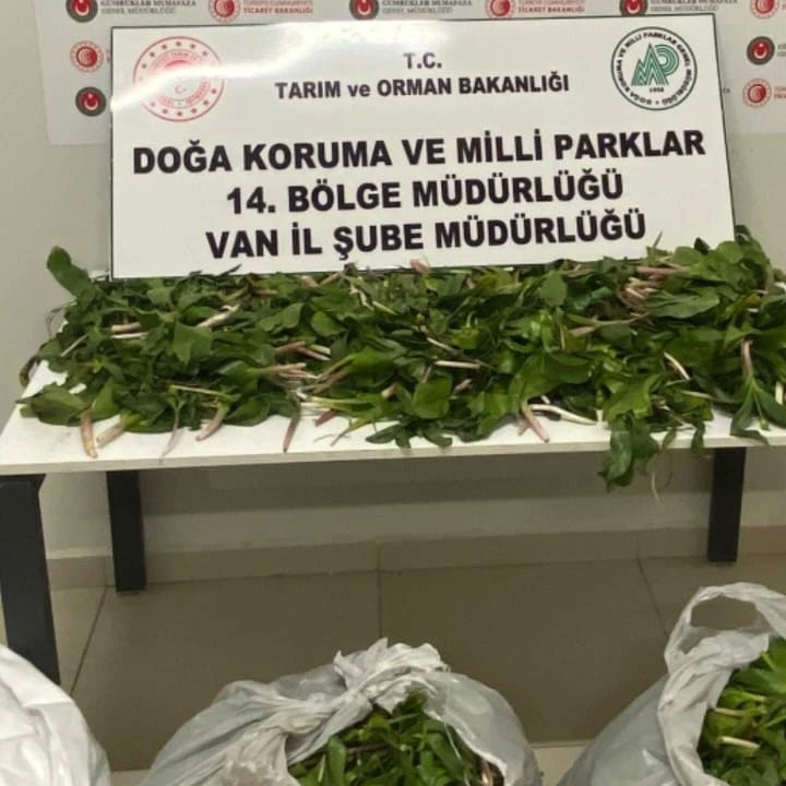 Van’da biyoçeşitliliği tahrip eden  İran uyruklu 6 kişiye ceza