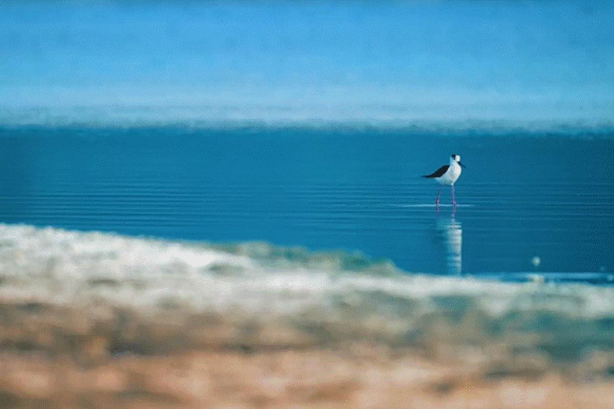Bakan Yumaklı: “Türkiye, iklim değişikliğinden en çok etkilenen ülkelerin başında geliyor”