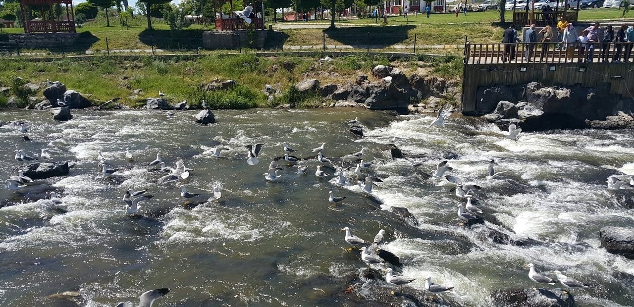 Erciş Balık Bendi ziyarete kapandı!