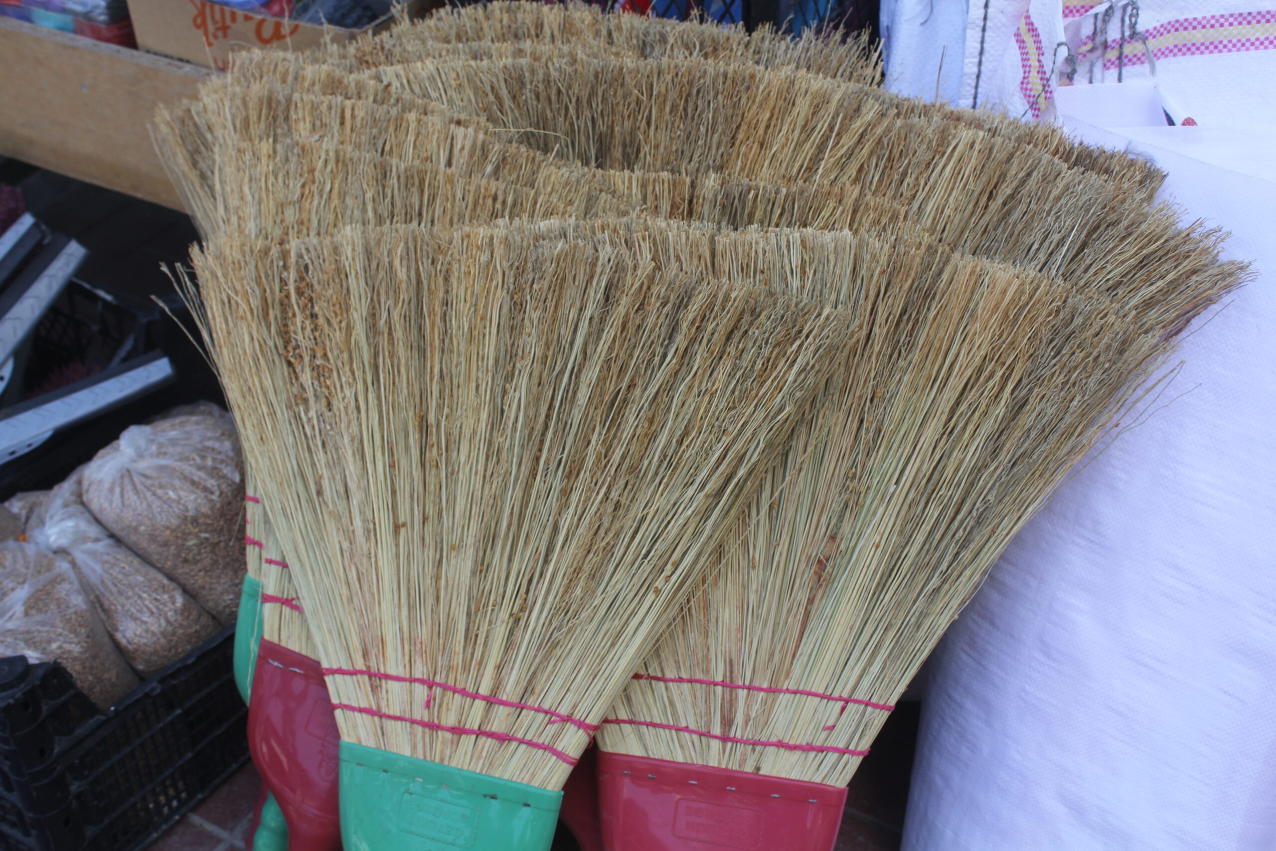 Çalı süpürgesi teknolojiye meydan okuyor