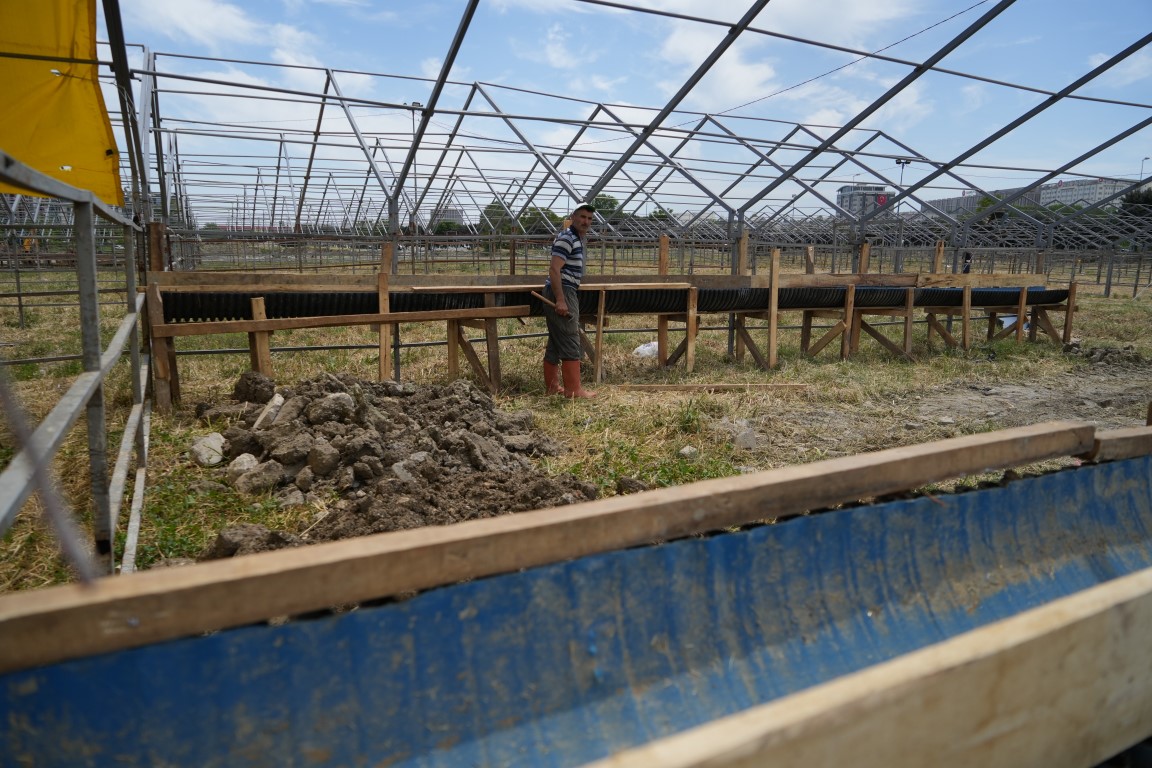 Kurban hazırlıkları başladı