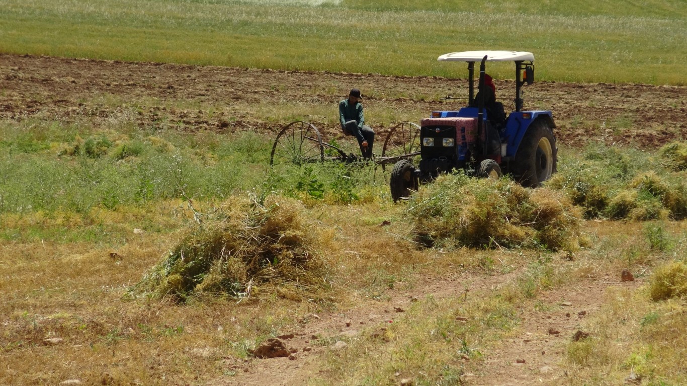 Mercimek hasadı çiftçinin yüzünü güldürdü